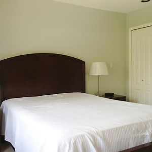 Queen Room Sofa Bed